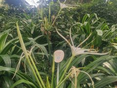 -成都市活水公园