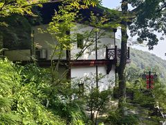 -韬光茶庵