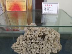-游龙石文化科普馆