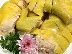 -喜聚薈·花膠雞海鮮火鍋(越秀店)