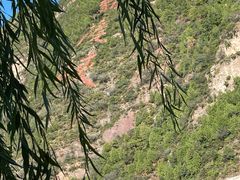 -北京龙庆四季香农家饭庄·灶台鱼·碳烤虹鳟鱼(龙庆峡店)