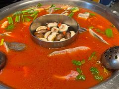 -不老溪贵州菜(广安门总店)