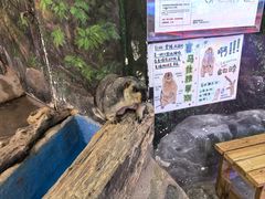 -正佳雨林生态植物园