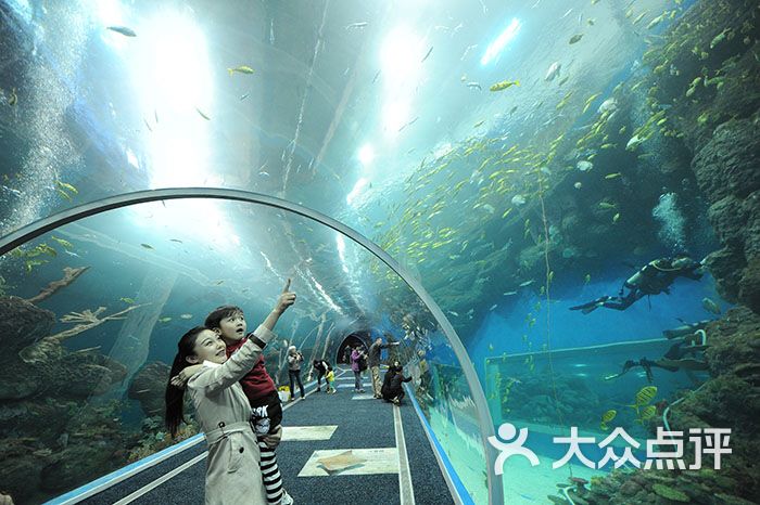 海滨城浩海立方海洋馆-图片-双流区周边游-大众点评网