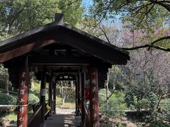 -杭州半山国家森林公园