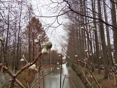 -上海长兴岛郊野公园