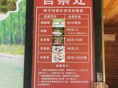 -合肥滨湖国家森林公园