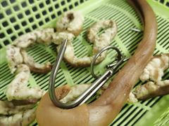 -五洲牛肉美食馆