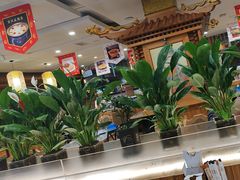 -大清花饺子(山庄店)