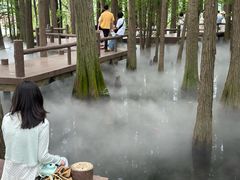 -东湖落雁景区