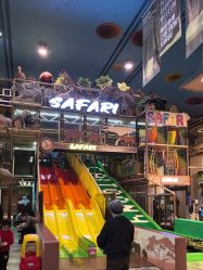 -卡通尼·Safari非洲探索乐园·生日会(金桥国际商业广场店)
