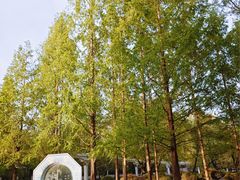 -唐城墙遗址公园