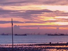 -宝安西湾红树林湿地公园