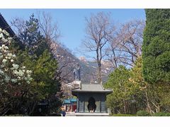 -青岛崂山太清宫