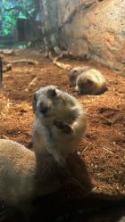 -Zoolung Zoolung动物主题公园(海信广场店)