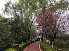 -西安汉城湖景区