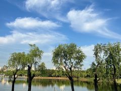 -黄兴公园