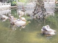 -国恩寺