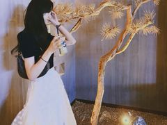 -春熙台韩国料理·章鱼肥牛(西丽店)