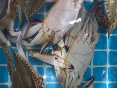 -蓝珊甄选海鲜自助·火锅大排档(近阿那亚店)