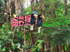 -广州长隆飞鸟乐园