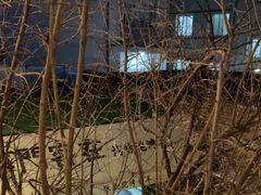 -羊门客在·烤盐池滩羊·川菜