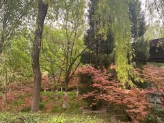 -西安汉城湖景区