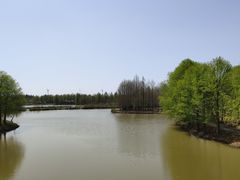 -上海海湾国家森林公园