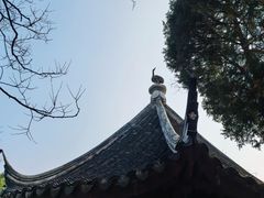 -香雪海
