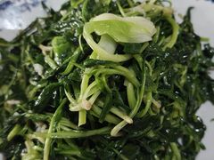 -呼吸森林·生态农庄农家乐私房菜