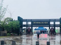 -杭州湾海上花田景区