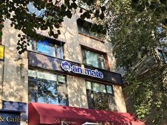 -Animate(工人体育场东路店)