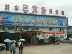 -东江湖游水三文鱼美食城