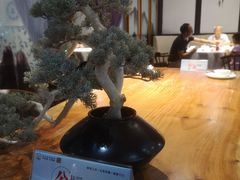 大堂-尽膳·鱼鲜川菜(宽窄巷子店)