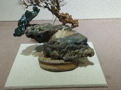 -陕西自然博物馆