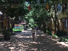 -芽庄珍珠岛游乐园