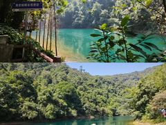 -亚龙湾国际玫瑰谷