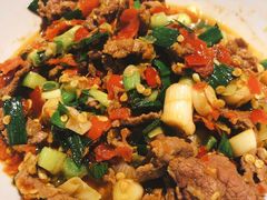泡辣椒炒牛肉-壹盏灯(蚂蚁工房店)