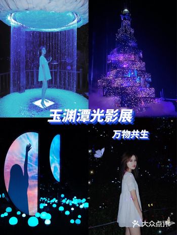 北京约会好去处玉渊潭万物共生光影展