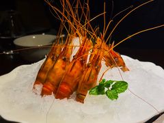 -南麓·浙里(外滩店)