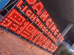 -锦江乐园舞狸花花游园会(夜场专享)