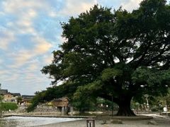 -福建土楼(南靖)景区