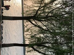 -丁香湖公园
