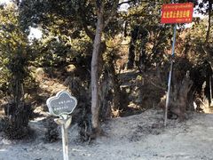 -比日神山