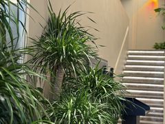 -隅乐胡椒虾·台湾菜·团建(皇岗店)