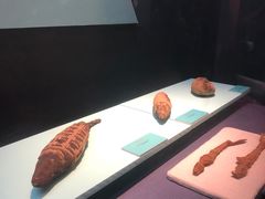 -浙江西湖美术馆