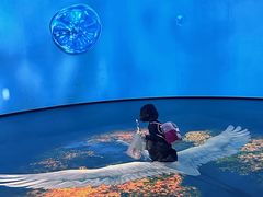 -中国湿地博物馆