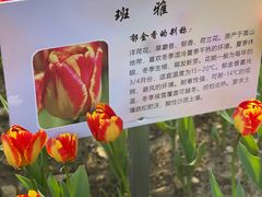 -院士公园