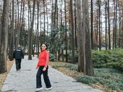 -月湖风景区