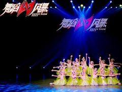 -西安小天鹅艺术团(金花路校区)